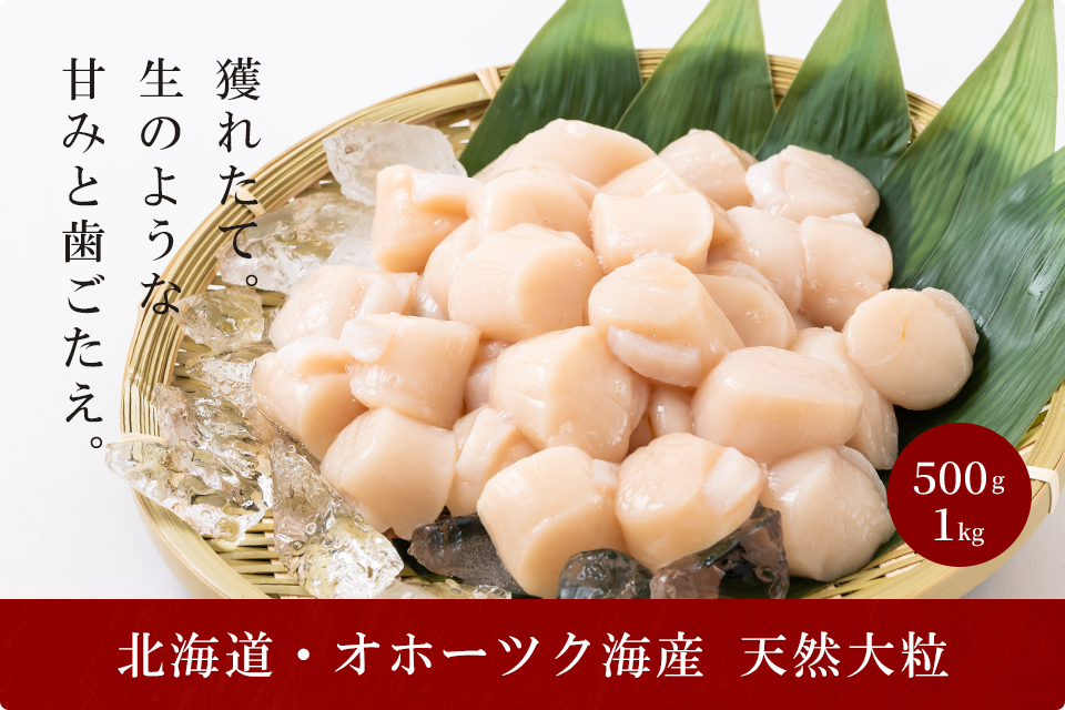 大粒！冷凍帆立貝柱 500g