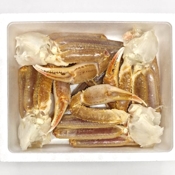 生ずわいがに肩脚（加熱調理用）